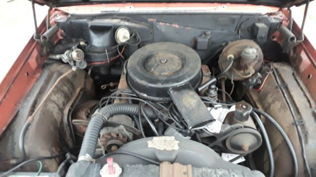 Buick Skylark 1964 image number 3