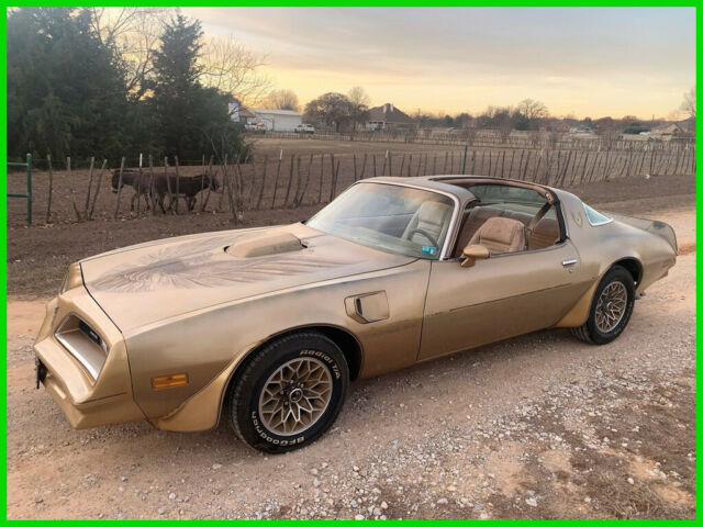 Pontiac Trans Am 1978 image number 0