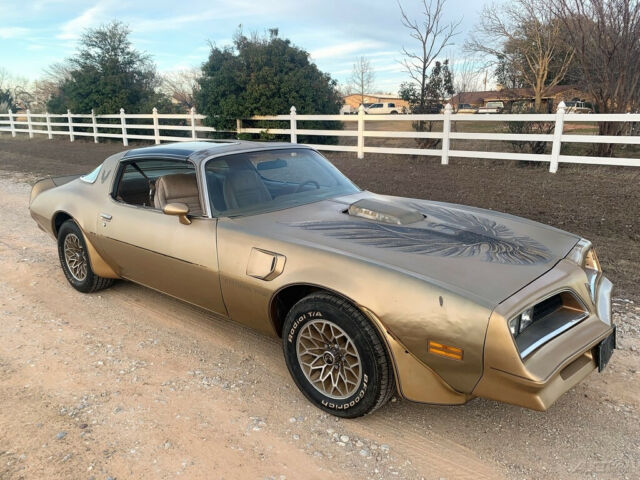 Pontiac Trans Am 1978 image number 13
