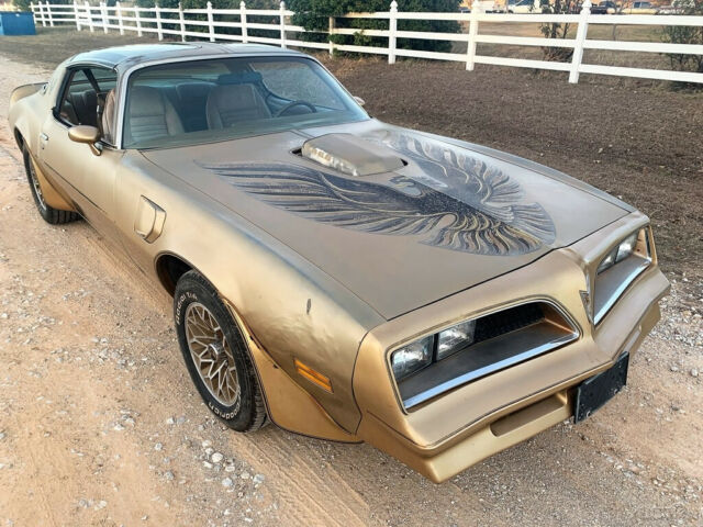 Pontiac Trans Am 1978 image number 16