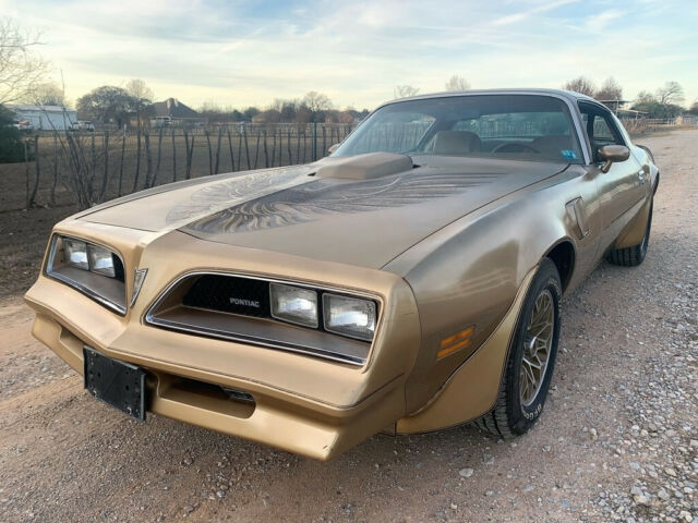 Pontiac Trans Am 1978 image number 19