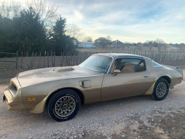 Pontiac Trans Am 1978 image number 2