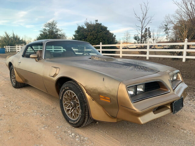 Pontiac Trans Am 1978 image number 6