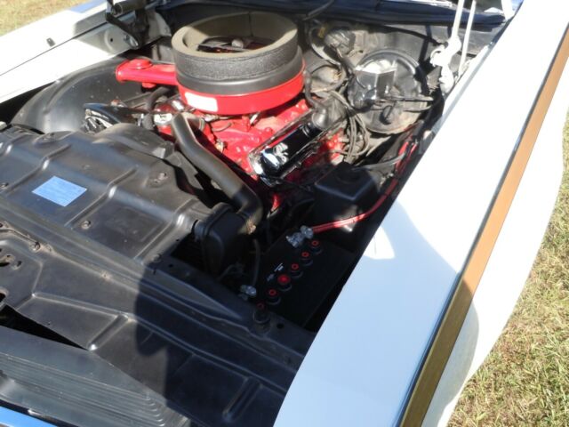 Oldsmobile Cutlass 1969 image number 36