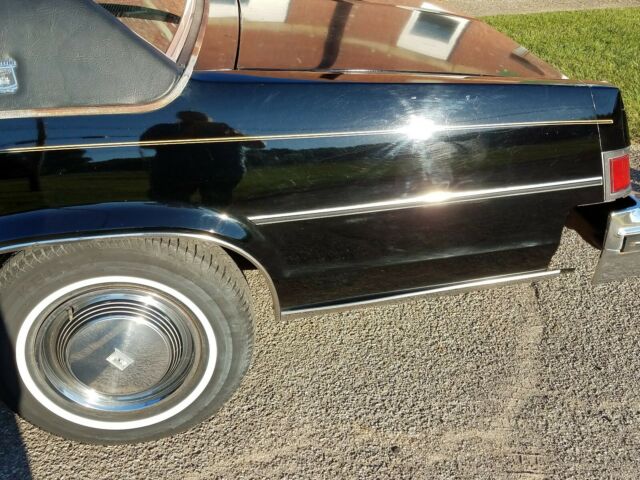 Oldsmobile Eighty-Eight 1979 image number 14
