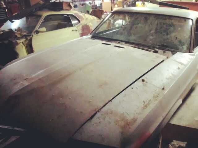 Ford Mustang 1969 image number 1