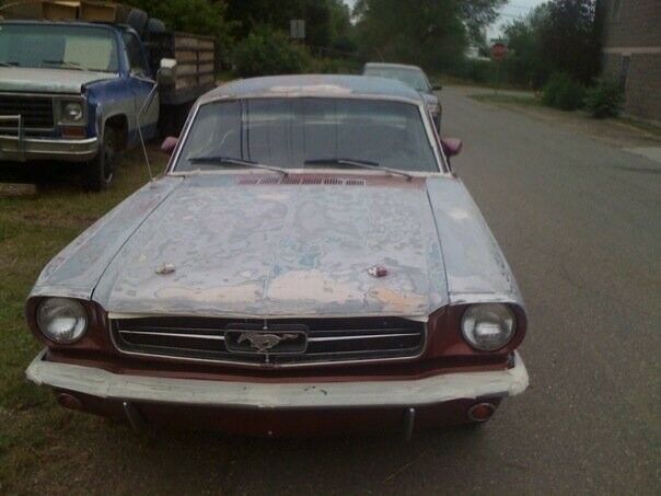 Ford Mustang 1965 image number 11
