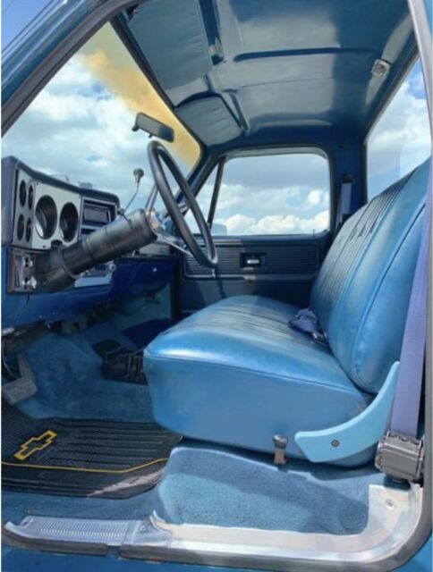 Chevrolet C-10 1979 image number 20