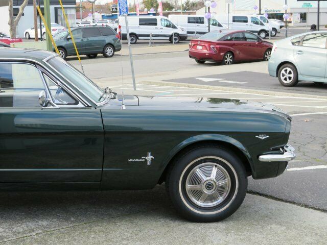 Ford Mustang 1965 image number 16