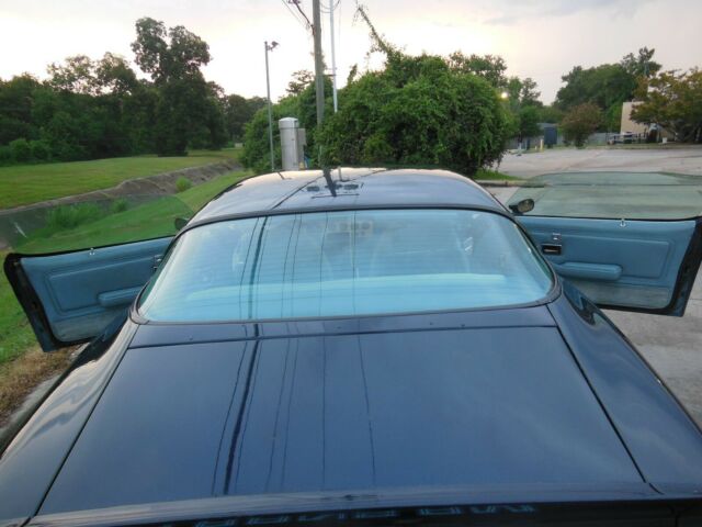 Pontiac Trans Am 1979 image number 21