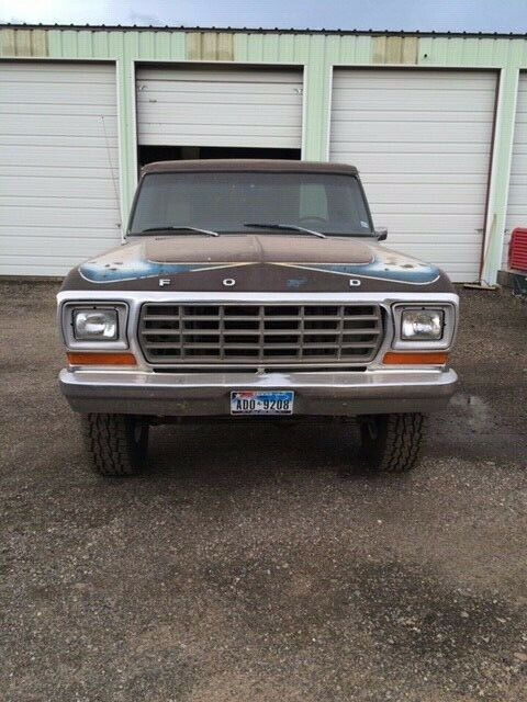 Ford F-150 1979 image number 2