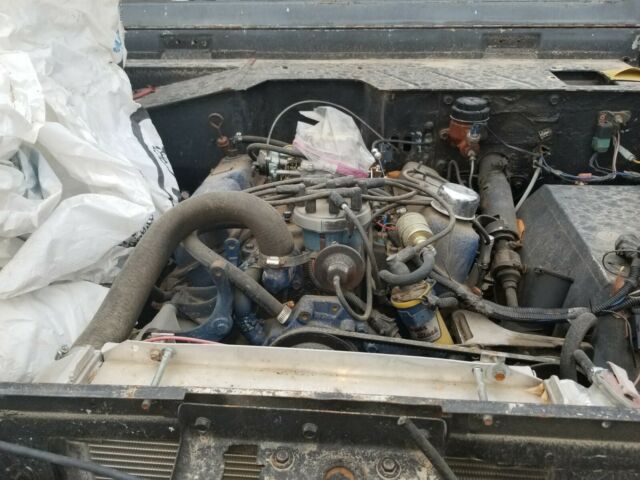 Ford Bronco 1966 image number 3