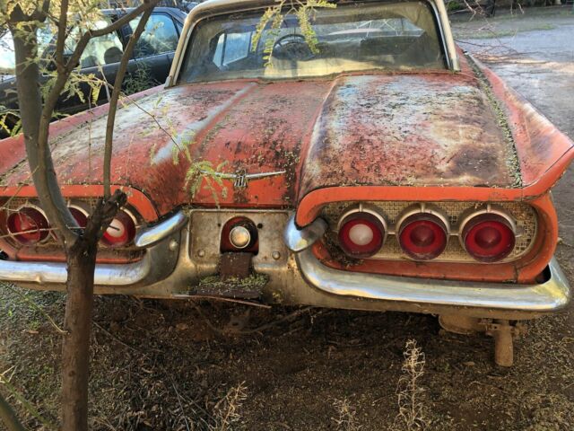 Ford T-Bird 1960 image number 1