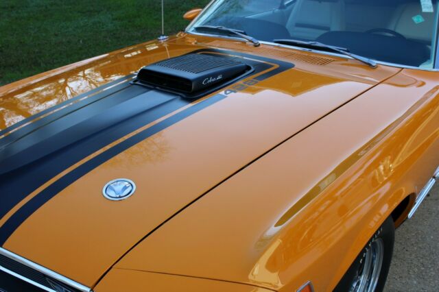 Ford Mustang 1970 image number 2