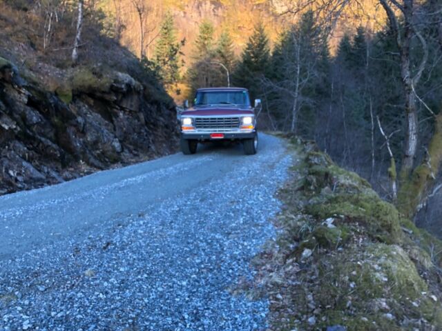 Ford F-350 1979 image number 3