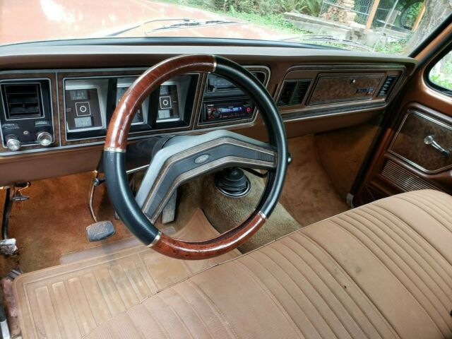 Ford F-150 1978 image number 18