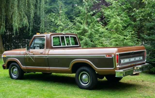 Ford F-150 1978 image number 3