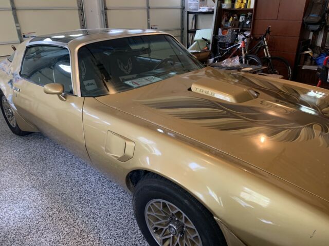 Pontiac Trans Am 1979 image number 10