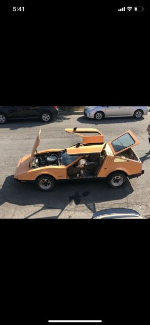 AMC Brinklin SV1 1975 image number 20