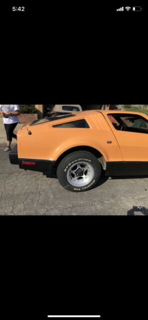 AMC Brinklin SV1 1975 image number 22