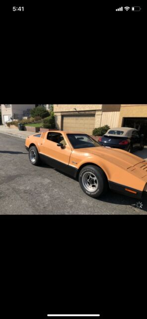 AMC Brinklin SV1 1975 image number 27