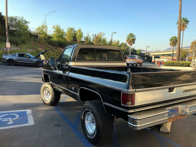 Chevrolet C-10 1978 image number 30