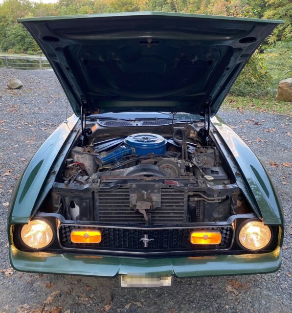 Ford Mustang Mach 1 351 1972 image number 14