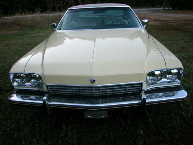 Buick Electra 1973 image number 1