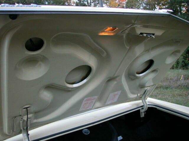 Buick Electra 1973 image number 15