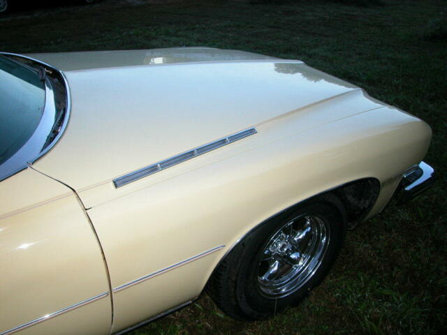 Buick Electra 1973 image number 20
