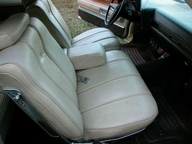 Buick Electra 1973 image number 41