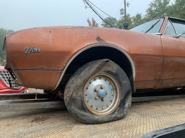 Chevrolet Camaro 1967 image number 11
