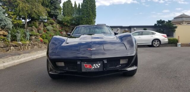 Chevrolet Corvette 1979 image number 16