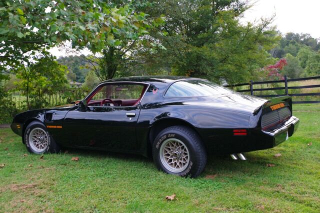 Pontiac Trans Am 1979 image number 9