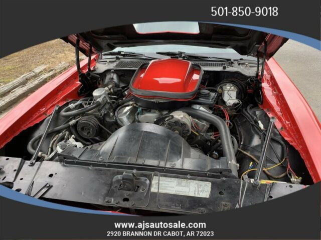 Pontiac Trans Am 1979 image number 8