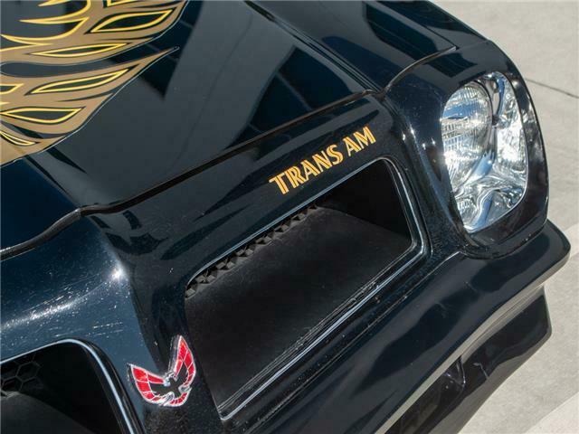 Pontiac Trans Am 1976 image number 12