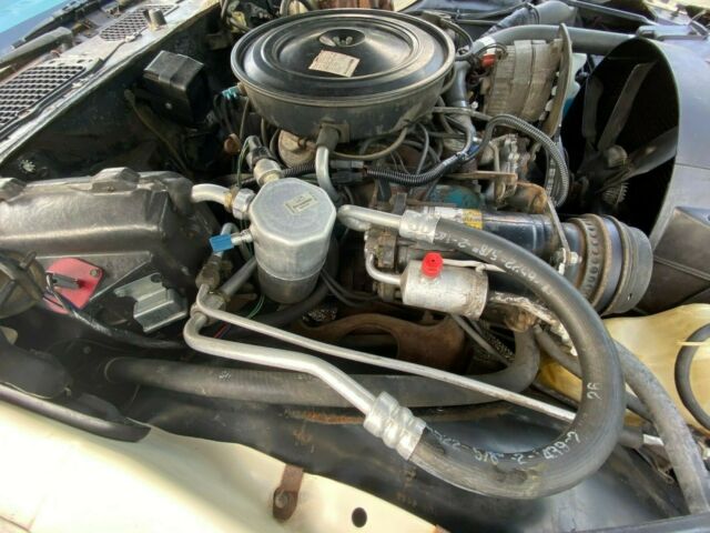 Pontiac Firebird 1979 image number 17