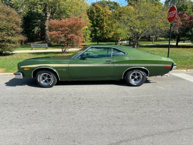 Ford Torino 1973 image number 3