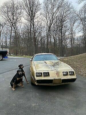 Pontiac Trans Am 1979 image number 5