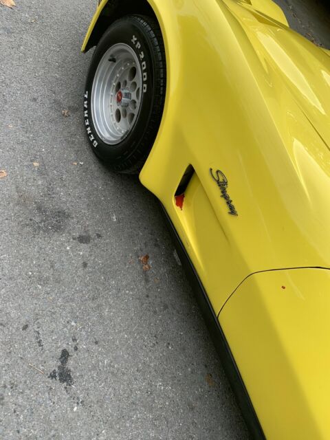 Chevrolet Corvette 5.7 1976 image number 6