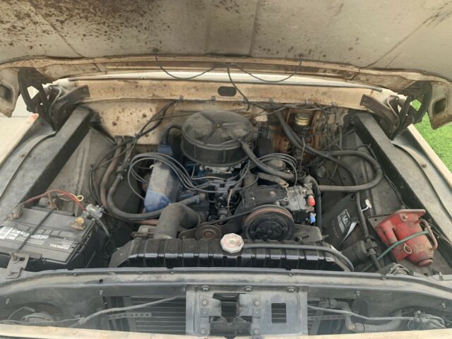 Ford F250 1966 image number 47