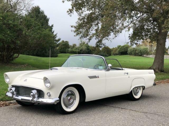 Ford Thunderbird 1955 image number 16