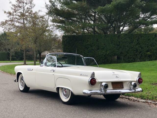 Ford Thunderbird 1955 image number 36