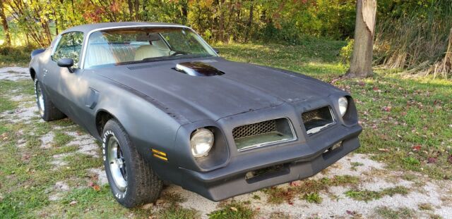 Pontiac Trans Am 1976 image number 1
