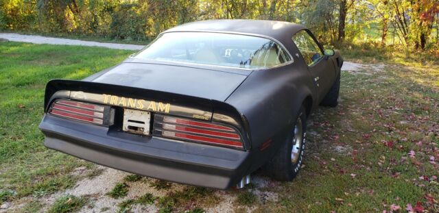 Pontiac Trans Am 1976 image number 15