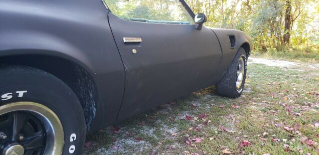 Pontiac Trans Am 1976 image number 18