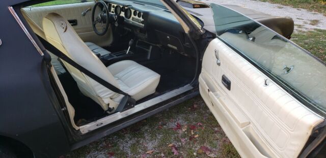 Pontiac Trans Am 1976 image number 19