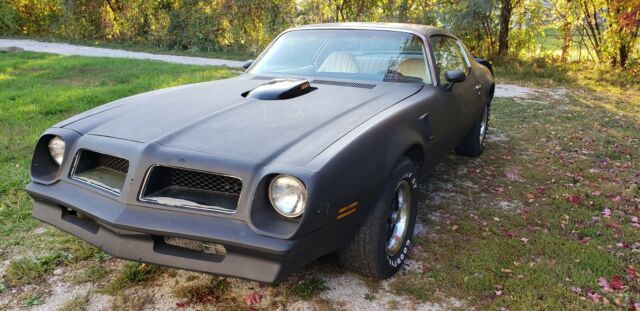 Pontiac Trans Am 1976 image number 2