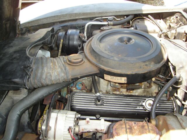 Chevrolet Corvette 1978 image number 19