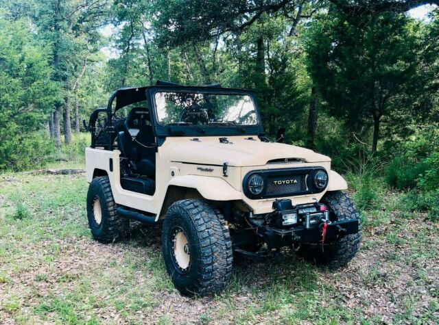 Toyota Land Cruiser 1976 image number 2